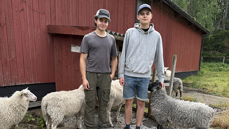 Malte och Örn