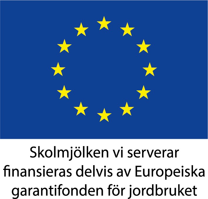 Bild föreställer den europeiska unionens flagga 