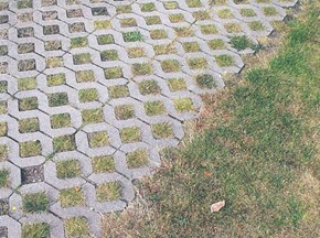 Bild på ihåliga betongstenar med gräs som växer mellan stenarna.