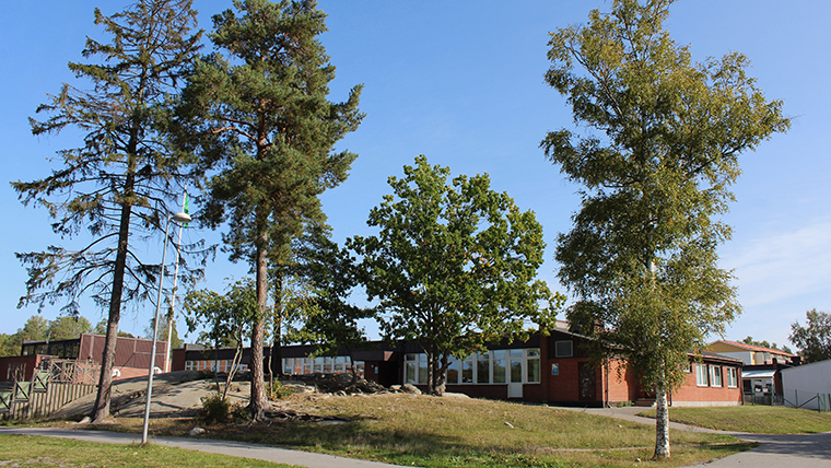 En skolbyggnad mellan träd